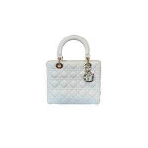 Christian Dior Medium Lady